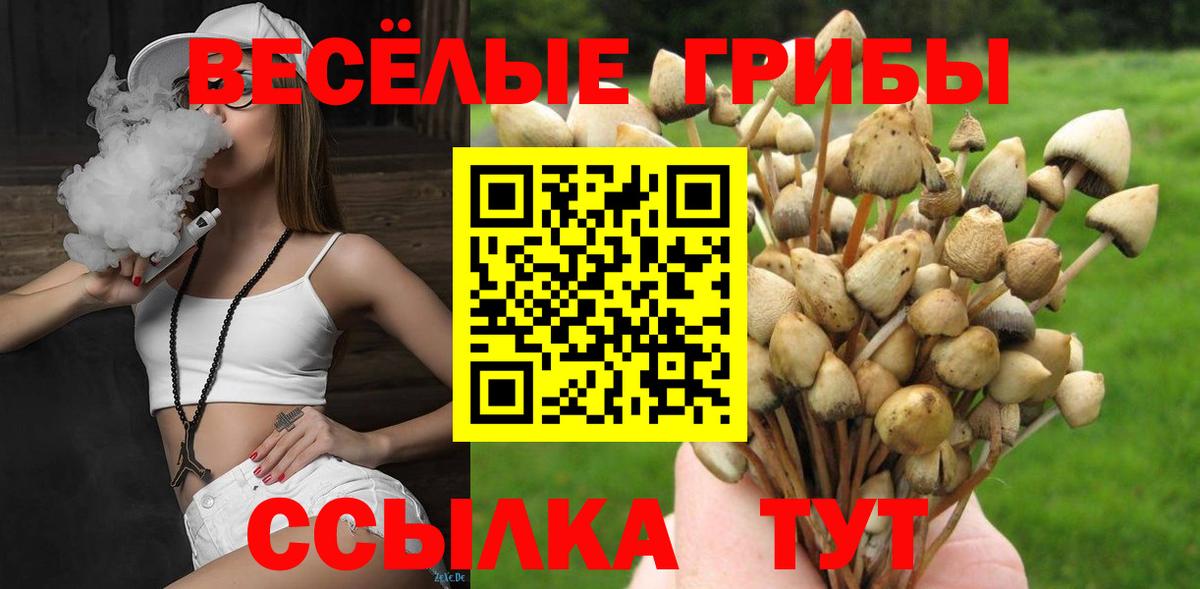 Галлюциногенные грибы мухоморы Моздок