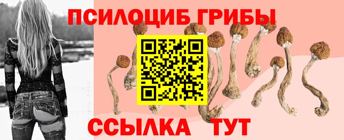 Моздок  Псилоцибиновые грибы MAGIC MUSHROOMS  Псилоцибиновые грибы мицелий  Вход с VPN 